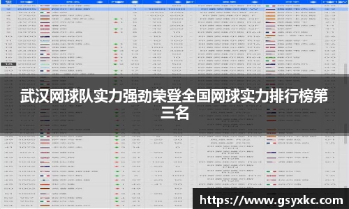 武汉网球队实力强劲荣登全国网球实力排行榜第三名